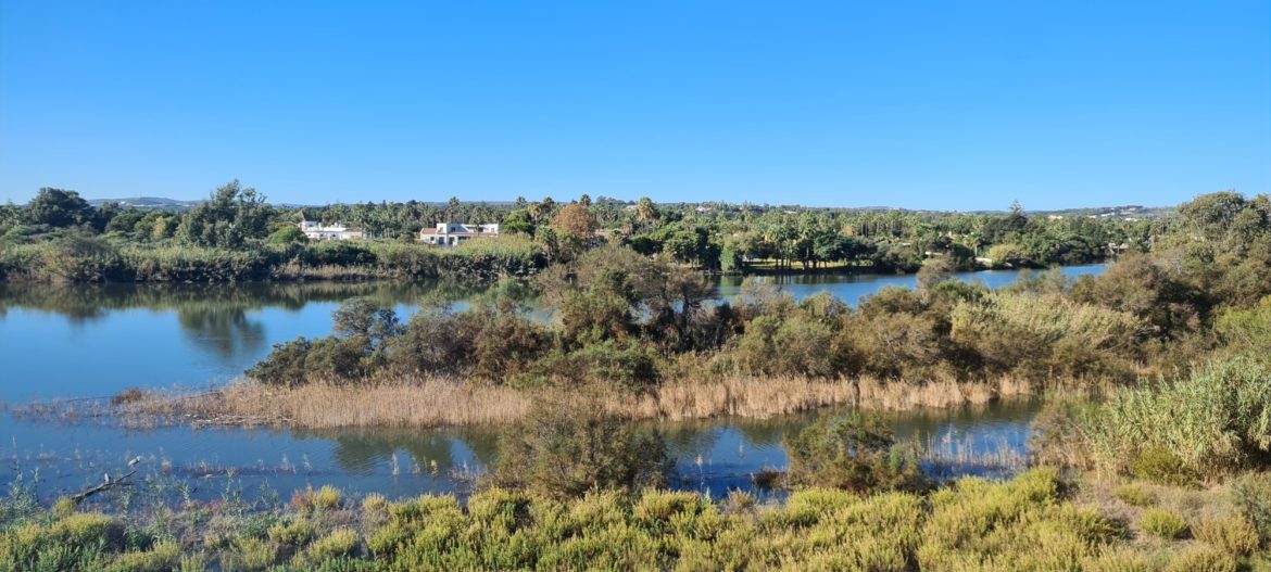 river and natural landscape